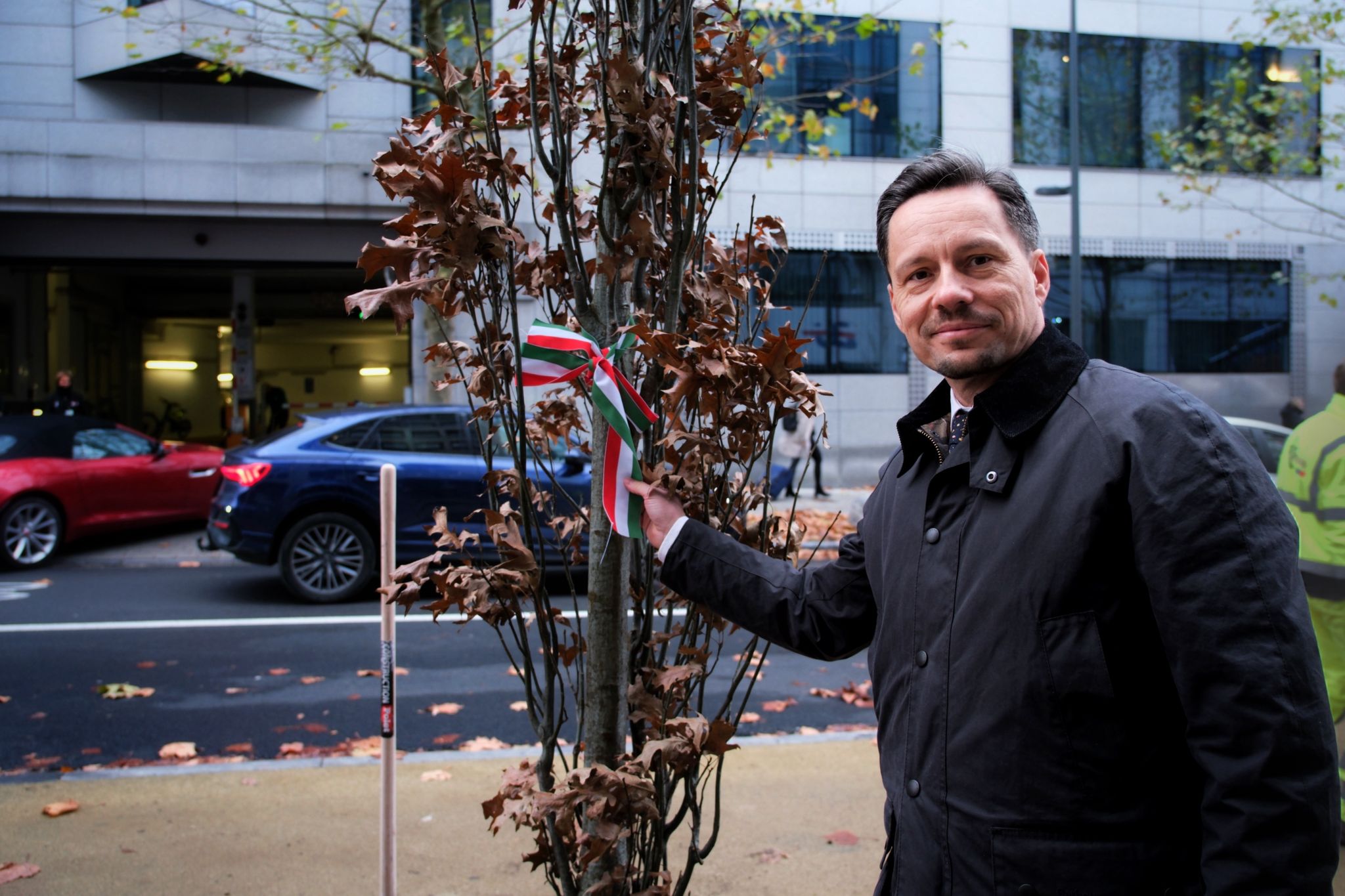 Faültetés Magyarország EU-s csatlakozásának emlékére